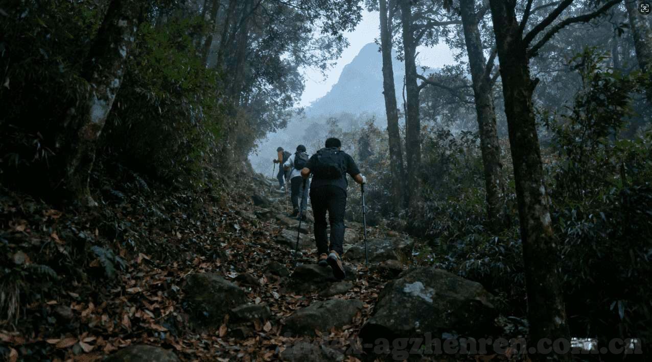 关停德州扑克-关停德州扑克，一场关于游戏与监管的博弈